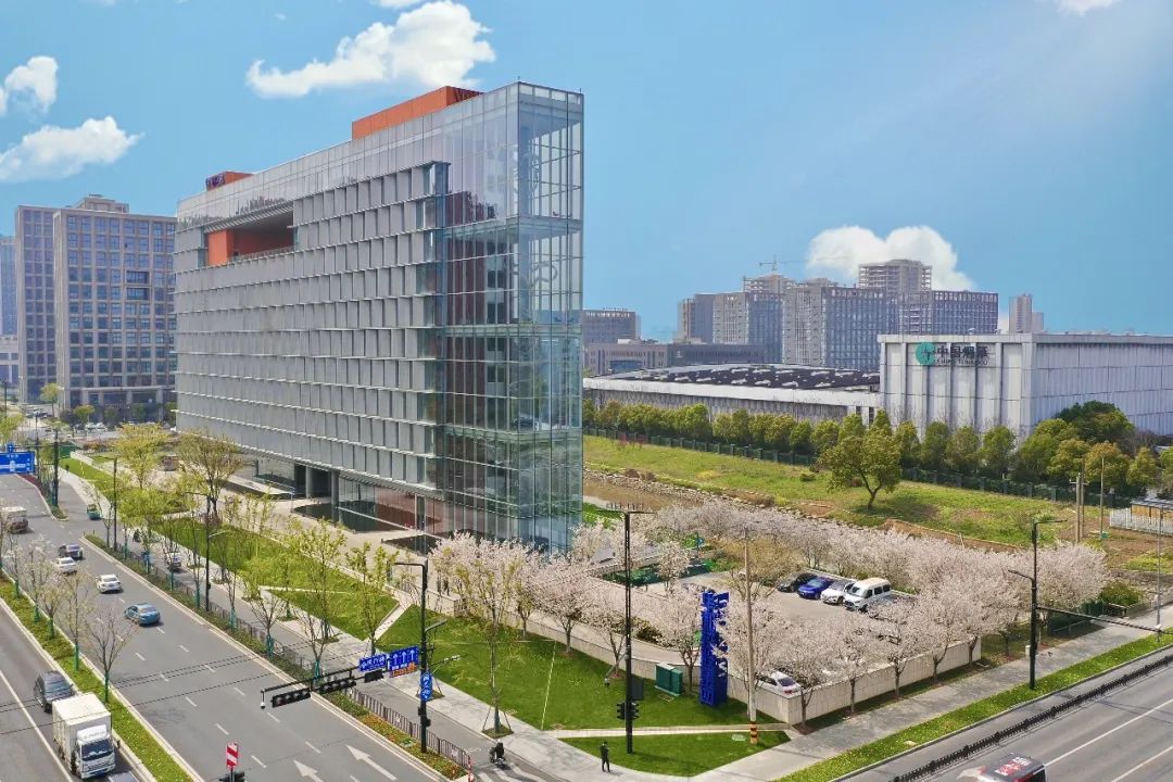 華和櫻花季|| 浪漫三月，“櫻”你而綻